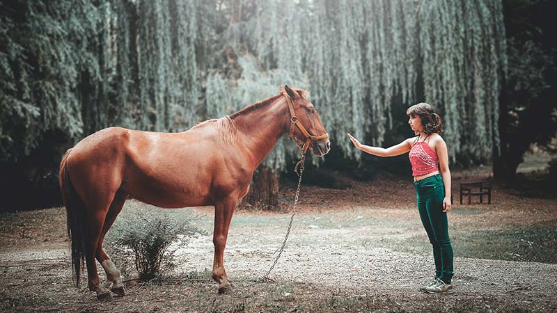 אישה וסוס - טיפול בעזרת בעלי חיים